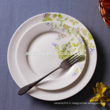 Assiettes en porcelaine de 10,5 po